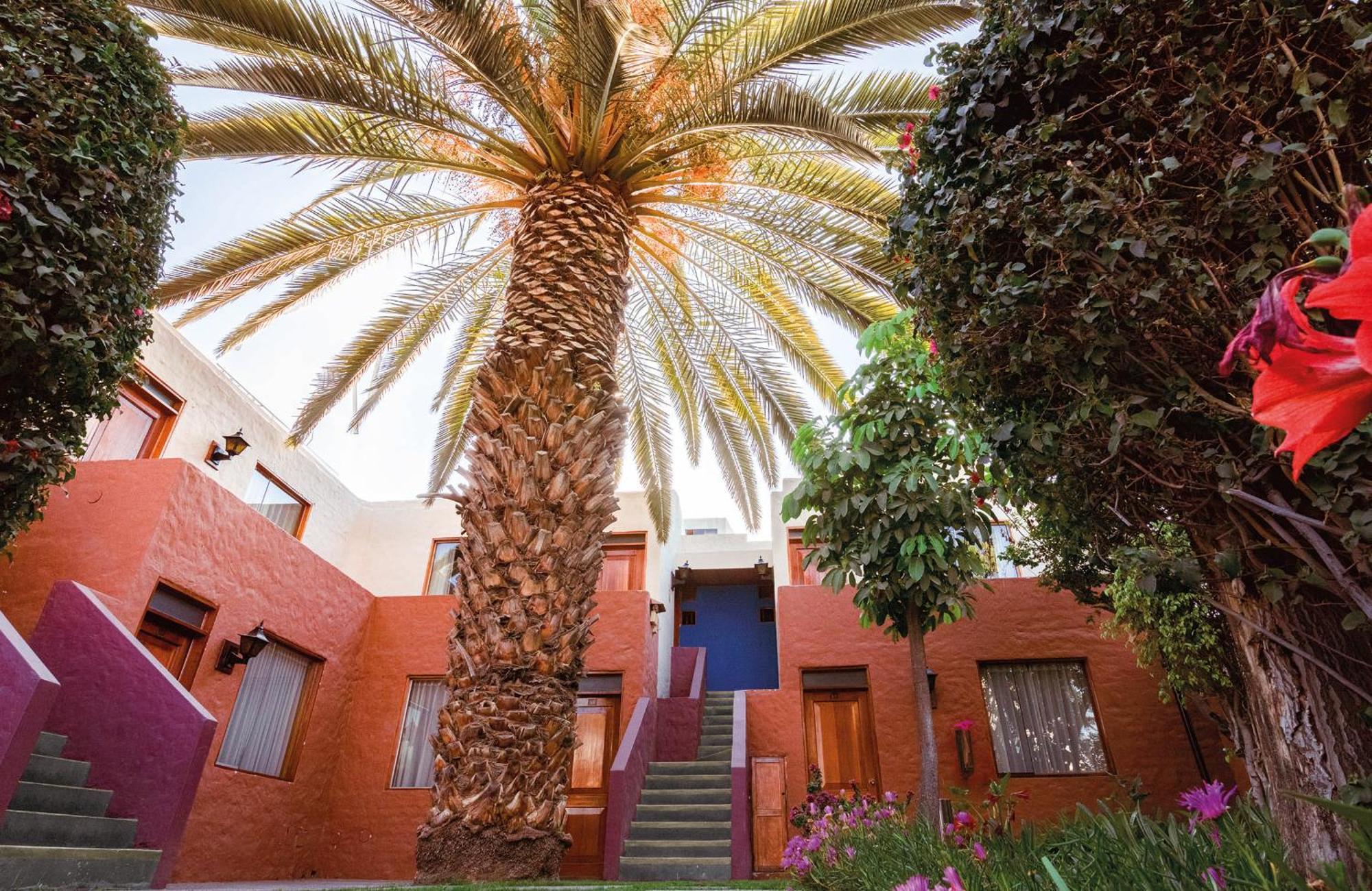 La Maison D'Elise อาเรกิปา ภายนอก รูปภาพ